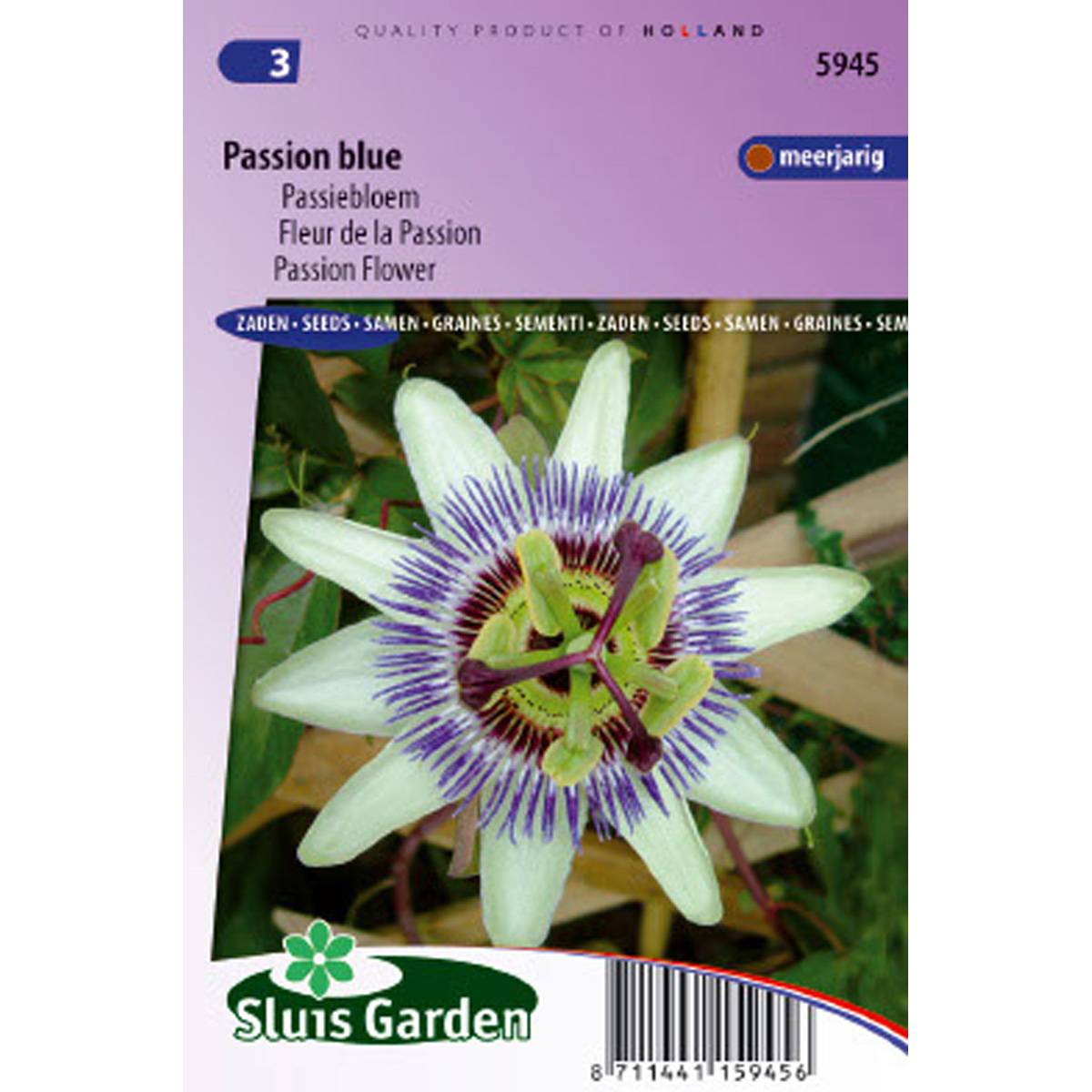 Graines de Fleur de la Passion bleue - Passiflora caerulea le sachet de 50 graines environ (0,4g)