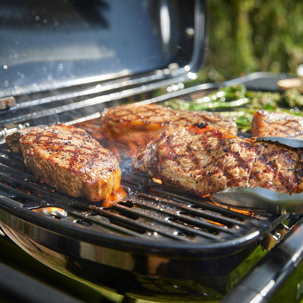 Barbecue à gaz Traveler - Image 6