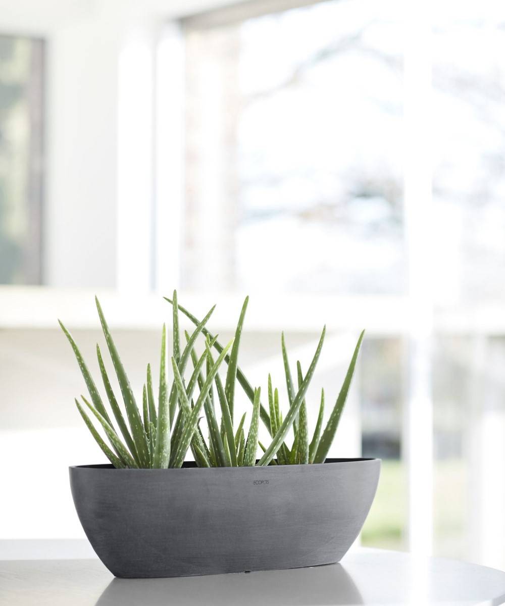 Ecopots - Pot Ovale Sofia Long 56 Gris + réservoir d'eau - 56 x 14 x H. 16 cm - 7 L ECOPOTS - Image 4