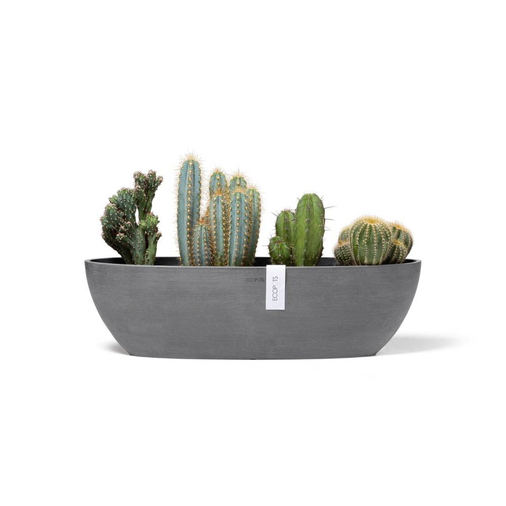 Ecopots - Pot Ovale Sofia Long 56 Gris + réservoir d'eau - 56 x 14 x H. 16 cm - 7 L ECOPOTS - Image 1
