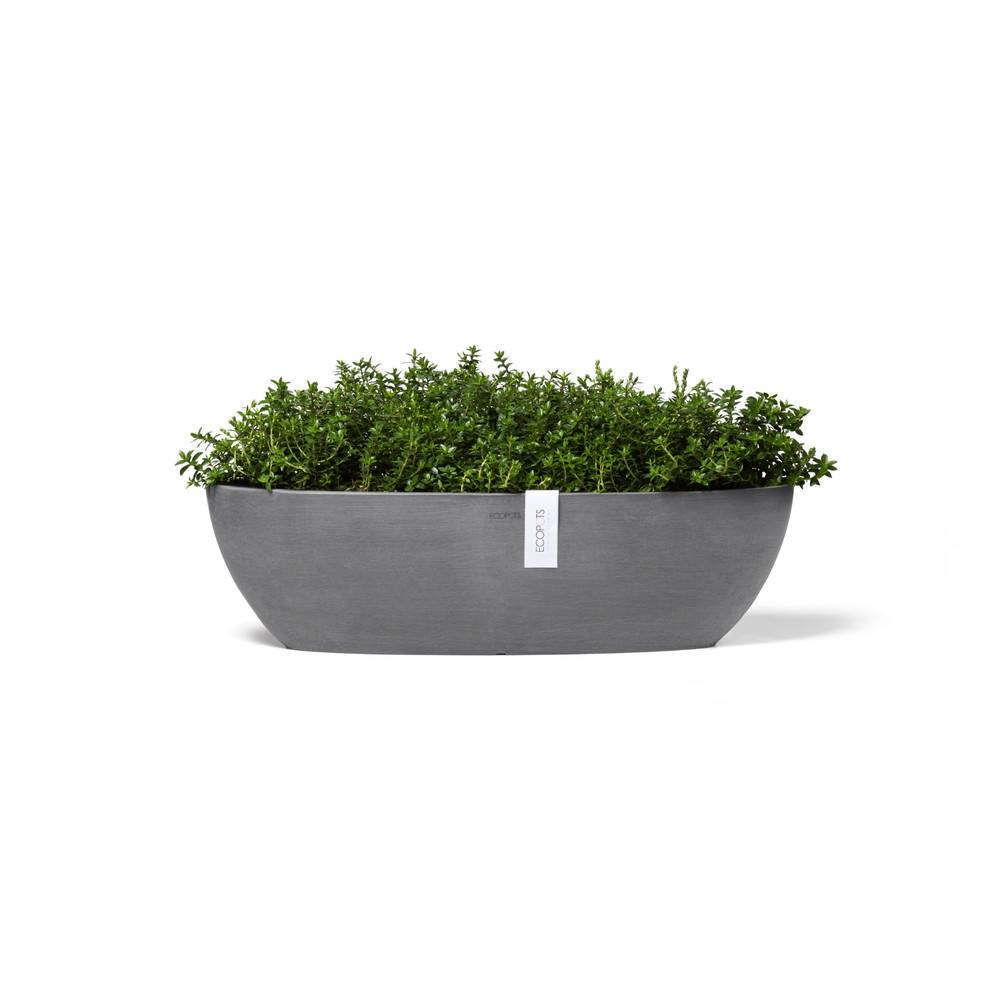 Ecopots - Pot Ovale Sofia Long 56 Gris + réservoir d'eau - 56 x 14 x H. 16 cm - 7 L ECOPOTS - Image 3