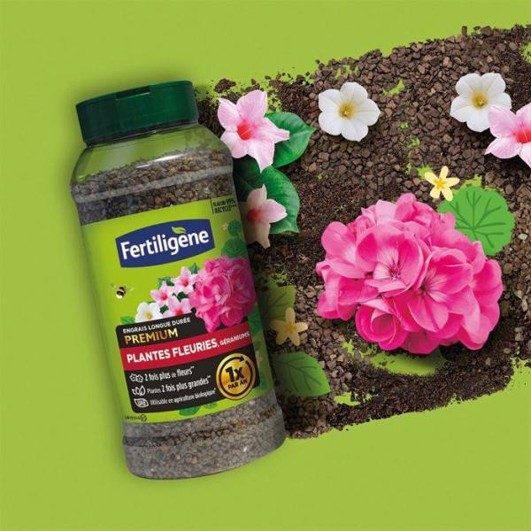 Fertiligène - Engrais longue durée premium plantes fleuries géraniums 600 g - FERTILIGENE - FEGLDGER - Image 4