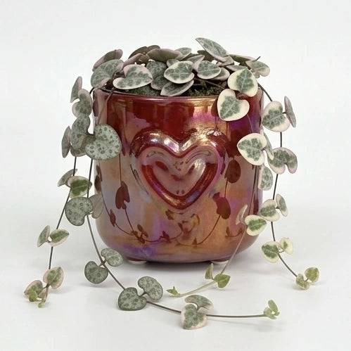 Cache-pot Coeur en céramique finition nacrée - Pot de 6cm - Image 5