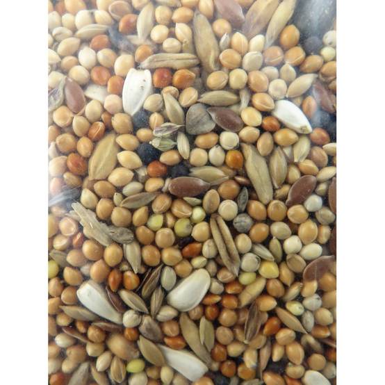 Graines grandes perruches nutrimeal - 12kg. - Image 2