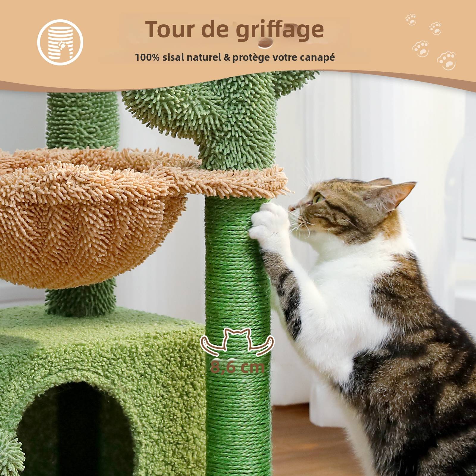 Petit Arbre à Chat Cactus avec Grand Condo 83 cm Vert PAWZ Road - Image 5