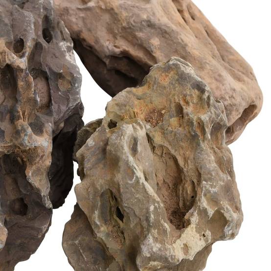 Roche Dragon pour Aquarium Décor Aquascaping et Terrarium 25 kg 10-40 cm Gris - ComfortXL Outdoor Living - Image 5