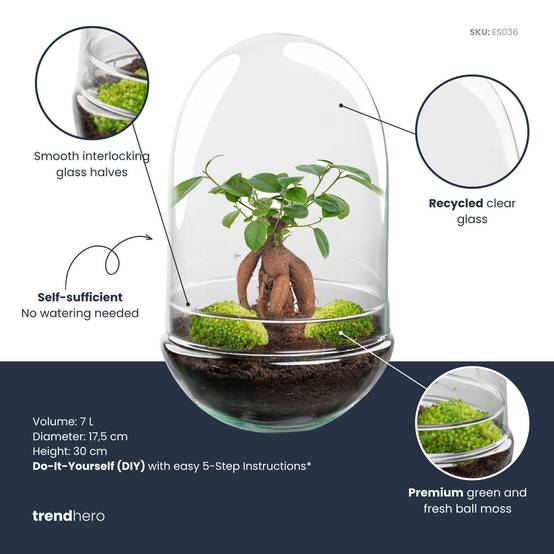 Kit Terrarium Diy - D25 H25cm - Image 2