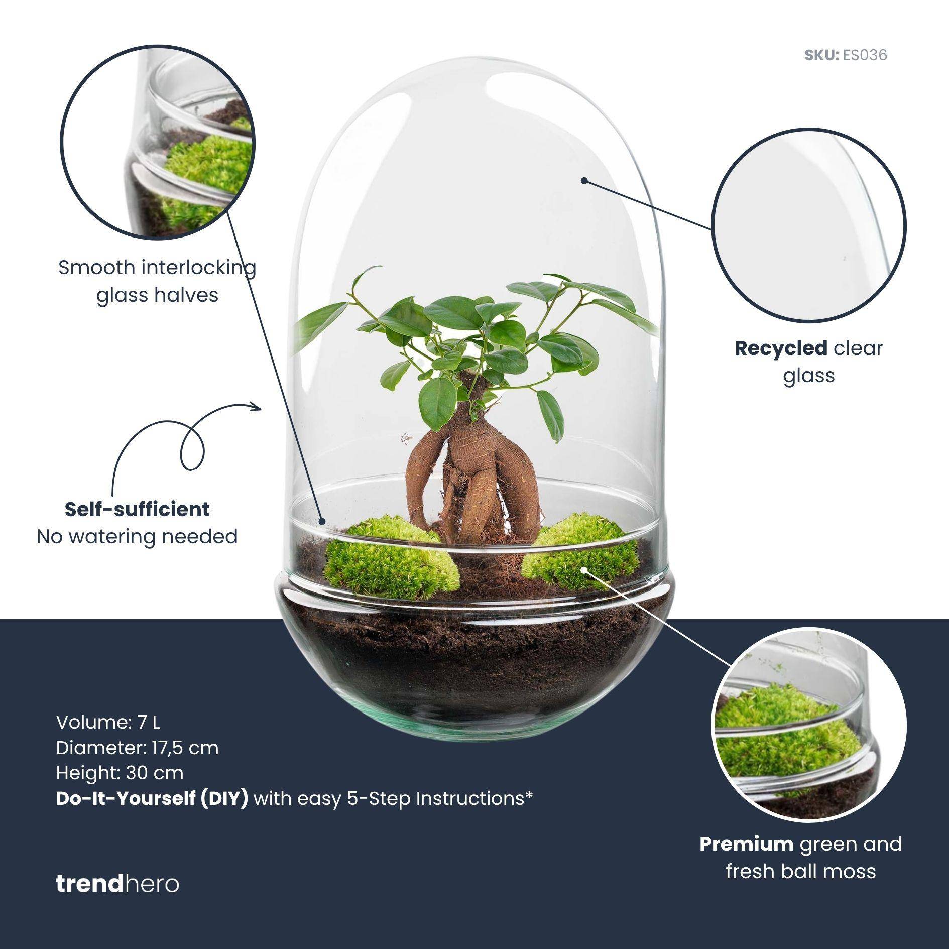 Kit Terrarium Diy - D25 H25cm - Image 2