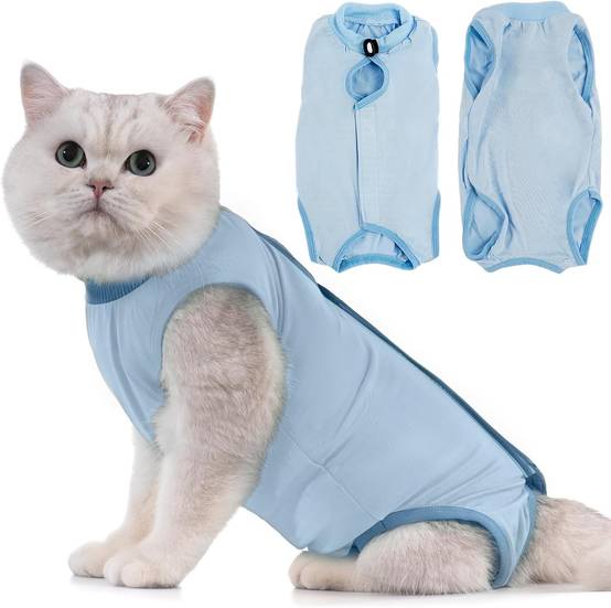 Combinaison de Récupération pour Chat Anti Léchage Bleu S