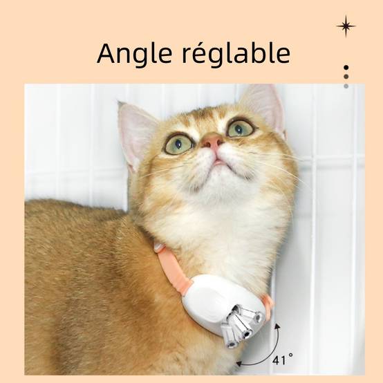 Collier laser multifonctionnel pour chat DtopbuyAge - Image 4