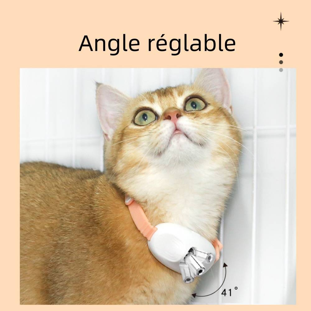 Collier laser multifonctionnel pour chat DtopbuyAge - Image 4