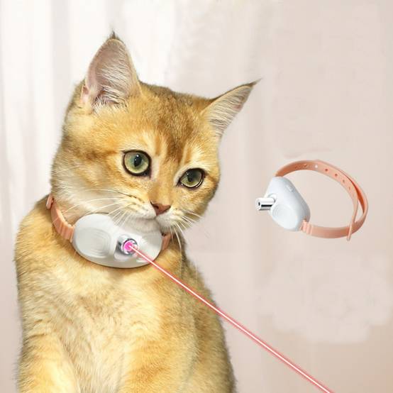 Collier laser multifonctionnel pour chat DtopbuyAge - Image 1