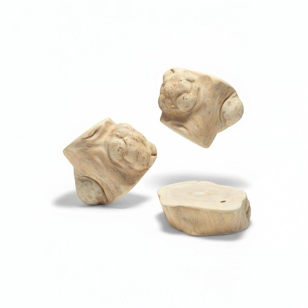 France Croquettes - France Croquettes Friandise à mâcher pour chien Racine de caféier - 1 racine (200-260 g)