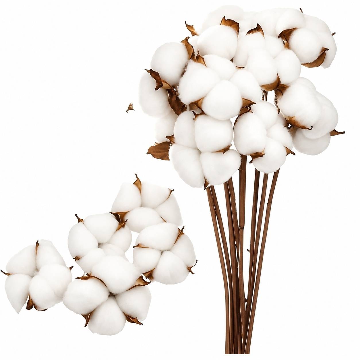 10 Tiges De Fleurs De Coton Séchées + 5 Têtes Interchangeables Décoration Naturelle Maison Mariage - Image 1