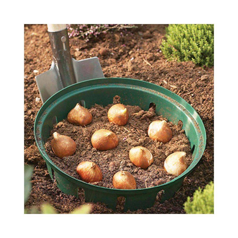 Garland - Panier pour bulbes rond 30 cm (Lot de 2) - Image 2