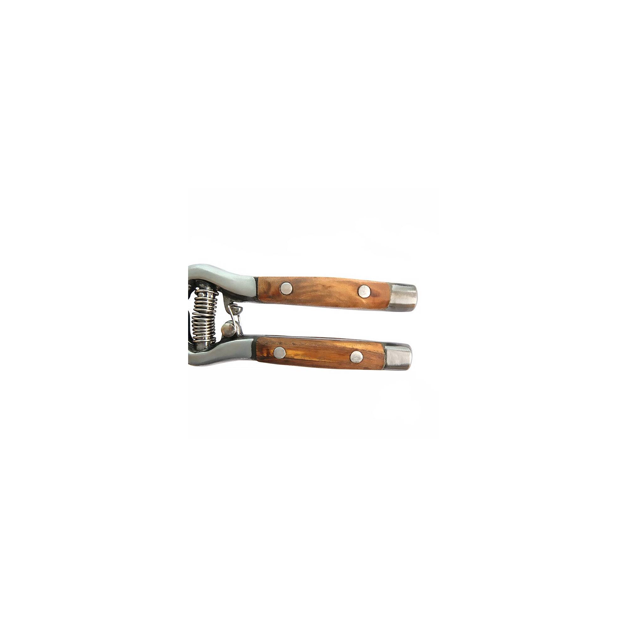 Lot de 2 épinettes de jardin - Suan - En métal - Avec loquet de sécurité - Image 3