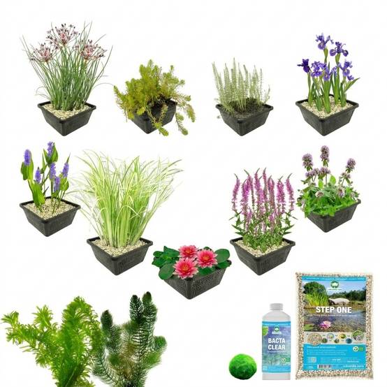 0 - Pack Complet Bassin Rouge 500-1.250L - Oxygénantes & Berge - Rustique - Image 3