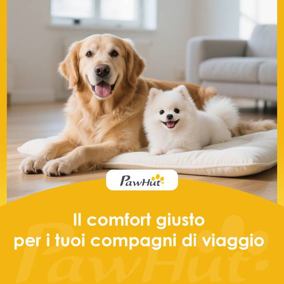 ComfortXL - Escalier pour chien et chat pliable en PP et EVA crème 53 x 30,5 x 36,5 cm pour canapé et lit antidérapant - Image 9