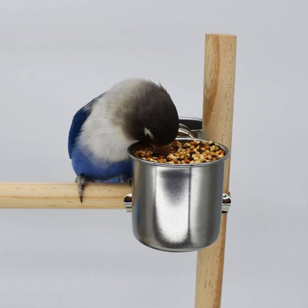 Bol d'alimentation pour oiseaux - Lytech - Image 2