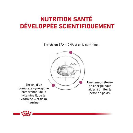 Royal Canin - Croquettes chien VETERINARY DOG CARDIAC - Royal Canin 7,5 kg - Image 4