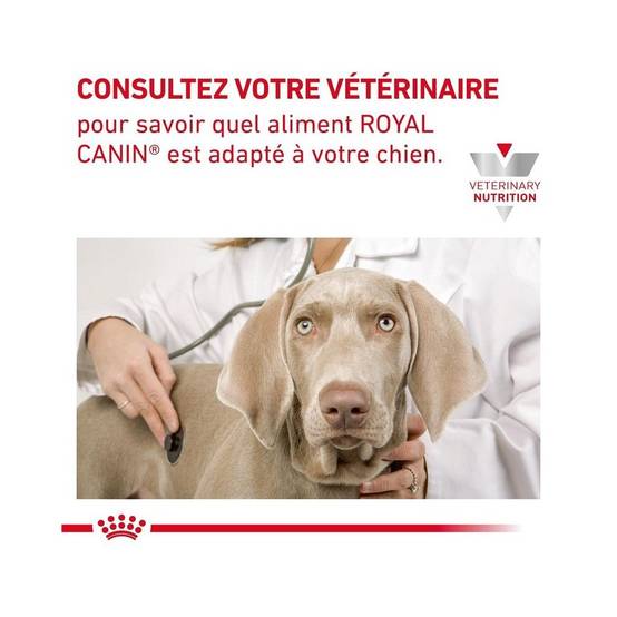 Royal Canin - Croquettes chien VETERINARY DOG CARDIAC - Royal Canin 7,5 kg - Image 7