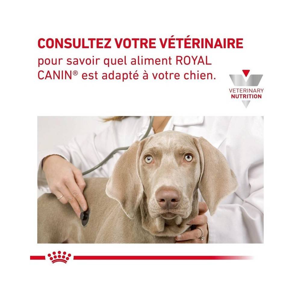 Royal Canin - Croquettes chien VETERINARY DOG CARDIAC - Royal Canin 7,5 kg - Image 7