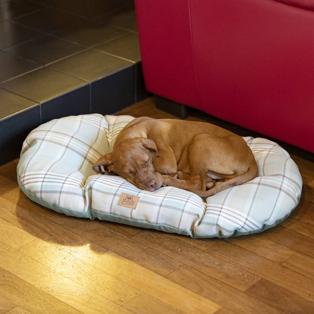 Ferplast - Coussin rembourré pour chiens et chats SCOTT 65/6, double-face, écossais, velours doux, lavable, Bleu - Image 7