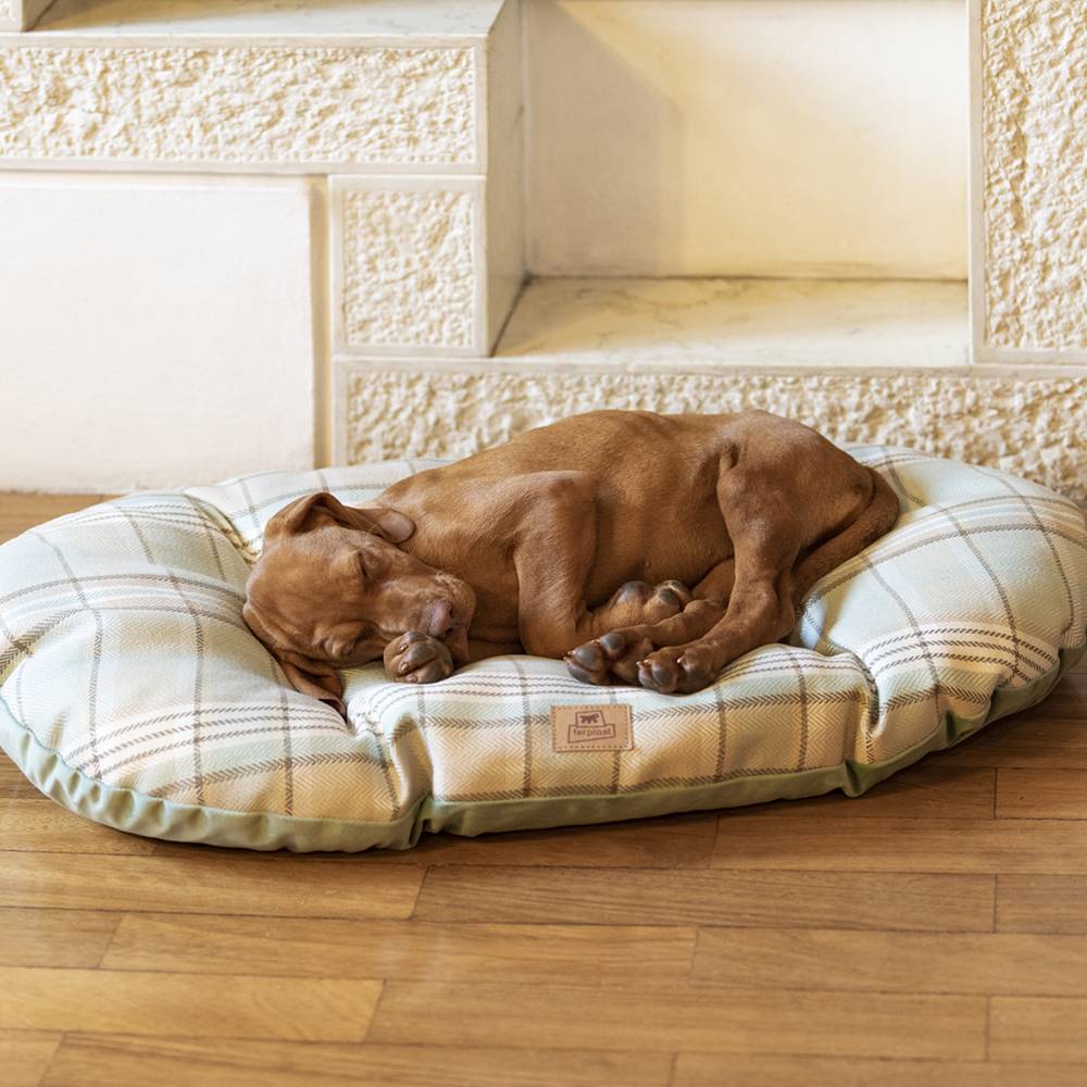 Ferplast - Coussin rembourré pour chiens et chats SCOTT 65/6, double-face, écossais, velours doux, lavable, Bleu - Image 6