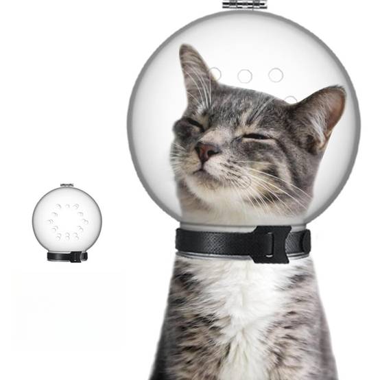 Muselière pour chat DtopbuyAge - Image 1