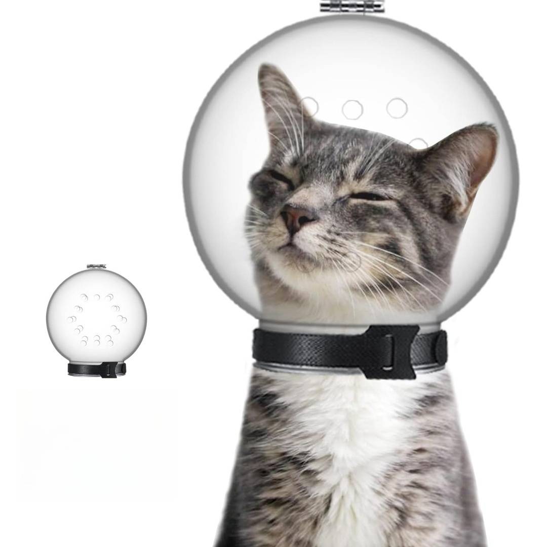 Muselière pour chat DtopbuyAge