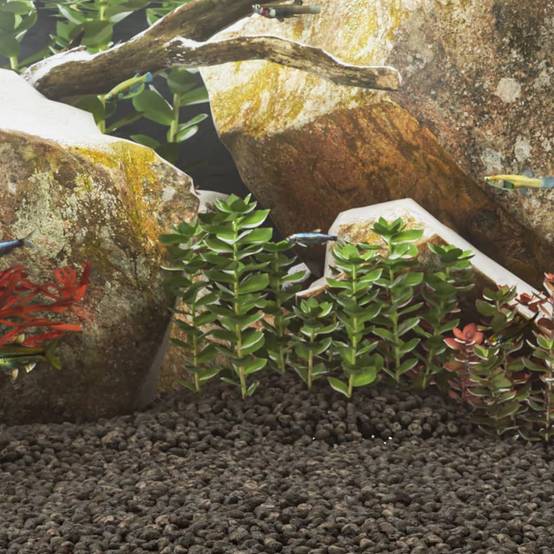 Roches Volcaniques pour Aquarium Jardin Filtration Biologique 25 kg Noir 1-2 cm - ComfortXL Outdoor Living - Image 1