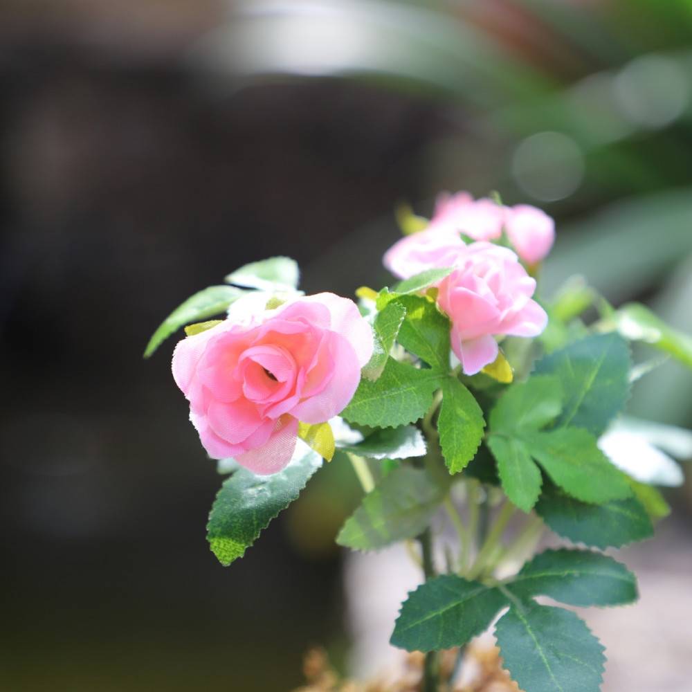 ~Rosier plante fleur artificielle extérieur cimetière tissu rose 12cm Chemin de campagne - Image 5