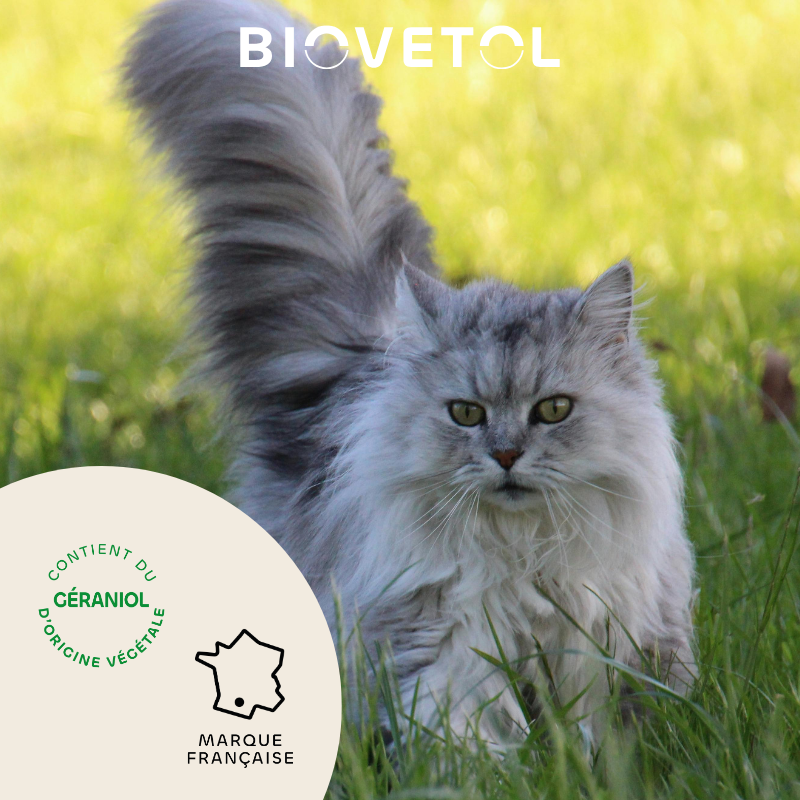 Biovetol - Collier Antiparasitaire pour Chat & Chaton - Image 5