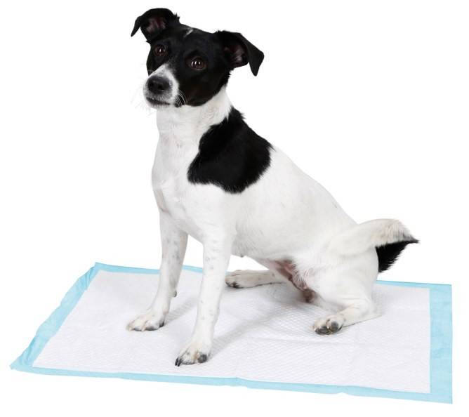 Tapis d'apprentissage - Propreté du chiot Albert Kerbl GmbH - Image 1