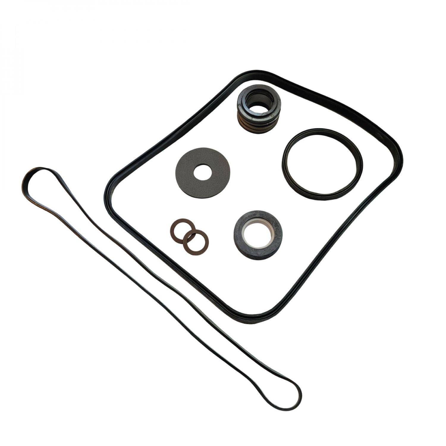 Hayward - Pack de joints de remplacement pour pompe Super Pump - SPX1600GS - Noir - Hayward - Image 1