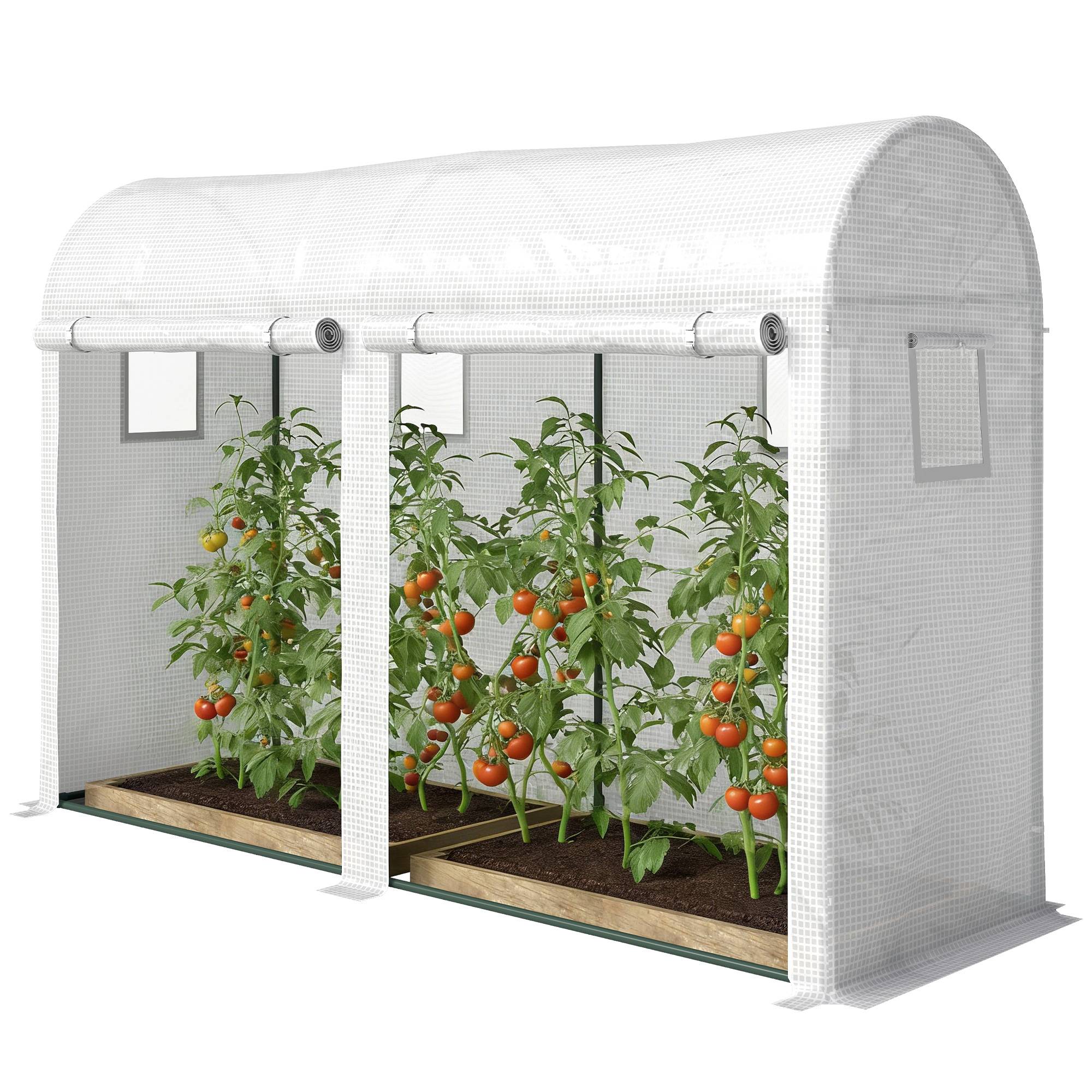 Sans Marque - Serre Jardin Petite Balcon Bâche PE Châssis Acier Portes Fenêtres Roulantes 300x100x200 cm blanc - Image 2