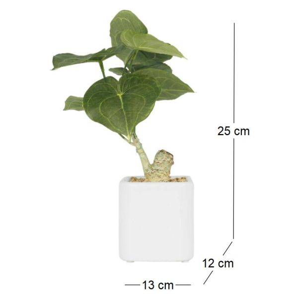 Ligne Deco - Plante artificielle pot carré blanc mat 26 cm Ligne Deco - Image 3