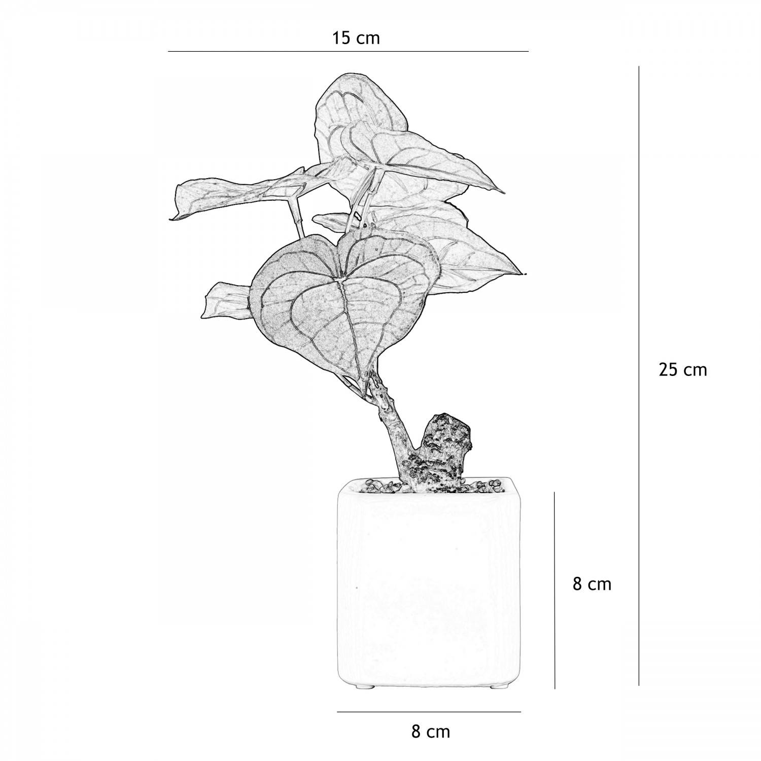 Ligne Deco - Plante artificielle pot carré blanc mat 26 cm Ligne Deco - Image 5