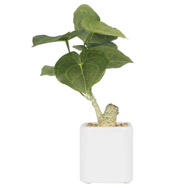 Ligne Deco - Plante artificielle pot carré blanc mat 26 cm Ligne Deco - Image 1