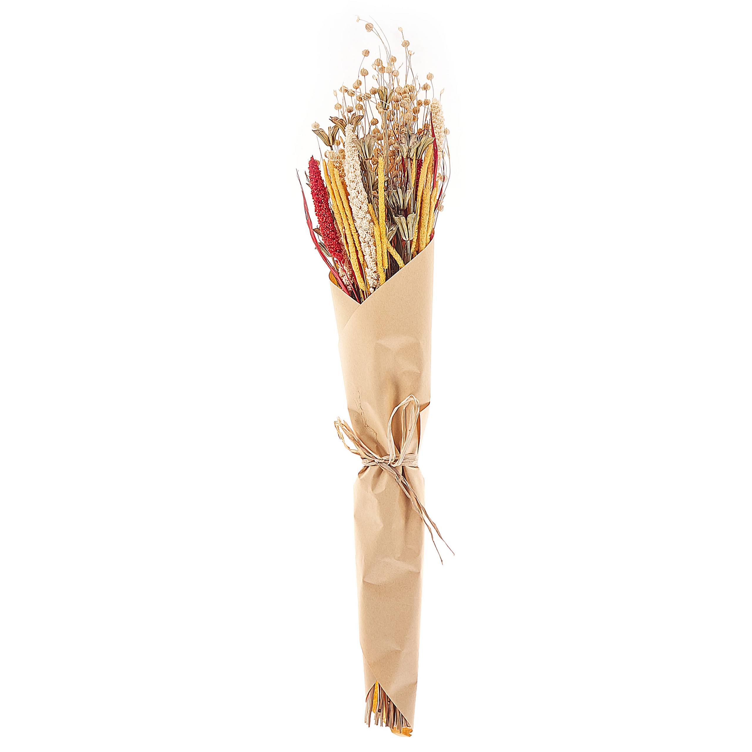 Beliani - Bouquet de fleurs séchées Fleurs séchées Naturel PAMPELUNA - 15x10x65- Beliani - Image 4