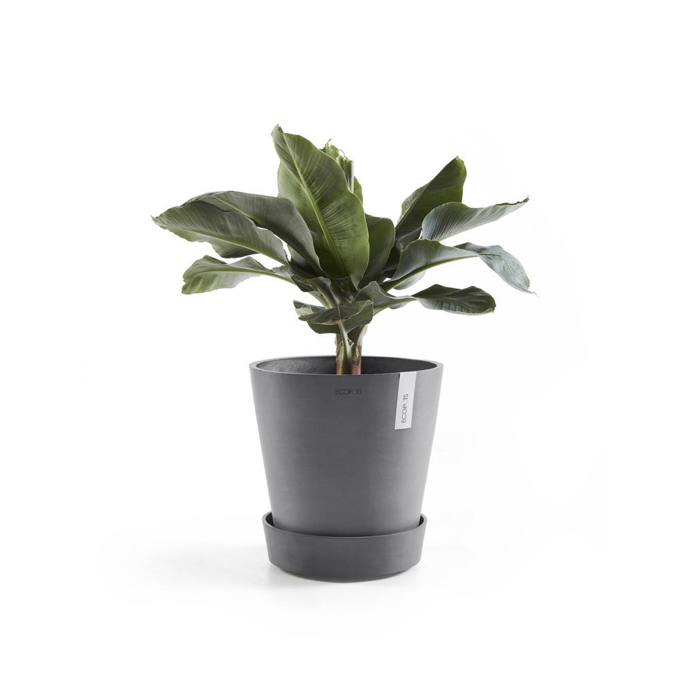 Ecopots - Support à roulettes Wheels 60 Gris - Ø 51 x H. 12,4 cm ECOPOTS - Image 3