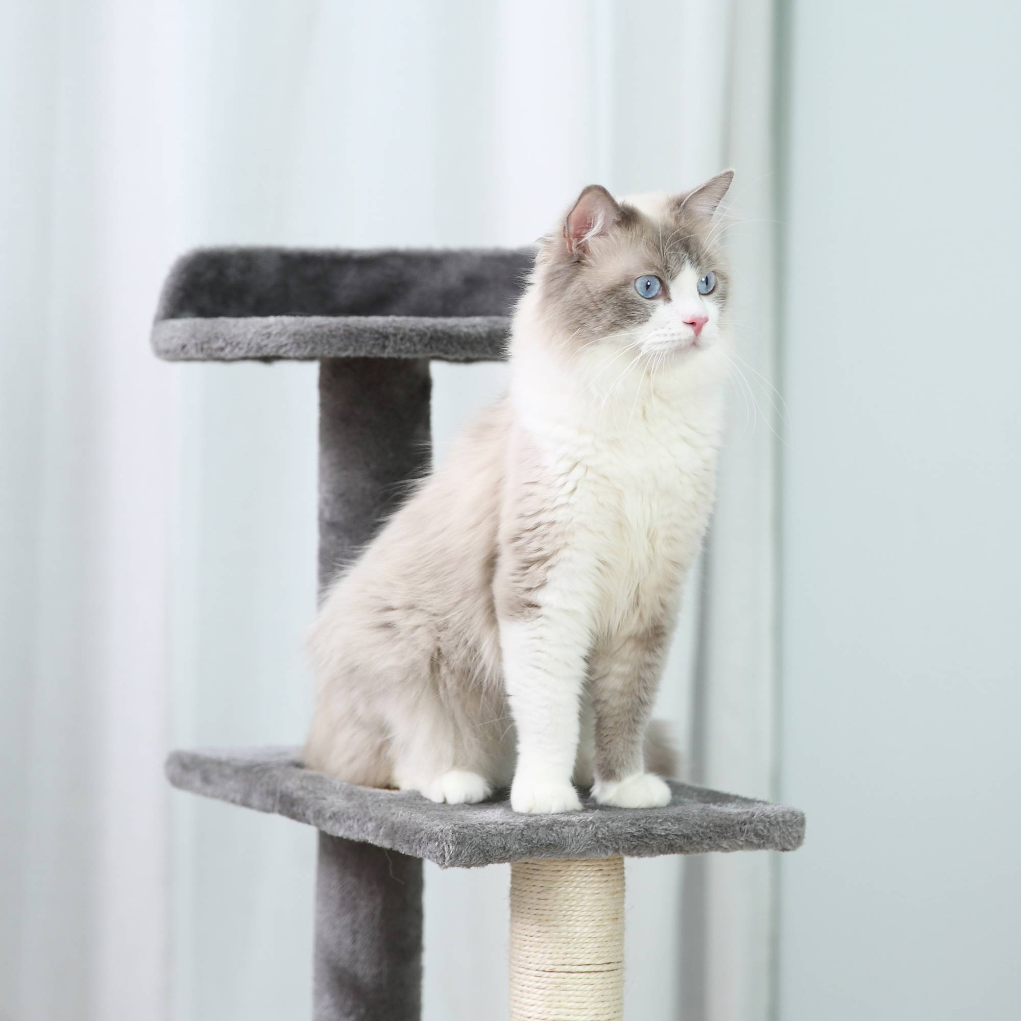 Arbre à Chat Design Spirale 100 cm avec Plateformes Griffoir en Sisal pour 3 Chats Gris Beige - ComfortXL Outdoor Living - Image 9
