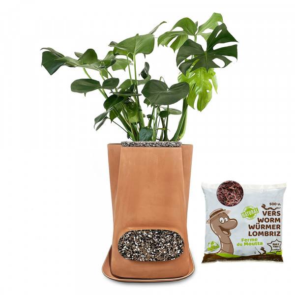 Ferme Du Moutta - Pot de fleurs lombricomposteur en terre-cuite Naturel Transfarmers + 250gr Vers - Image 1