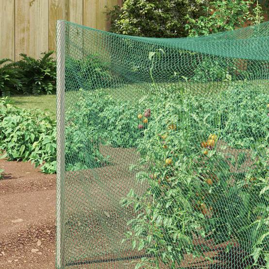 Filet de Protection Anti-oiseaux Polyéthylène pour Jardin et Arbres Fruitiers Vert 2 x 10 m - ComfortXL Outdoor Living - Image 3