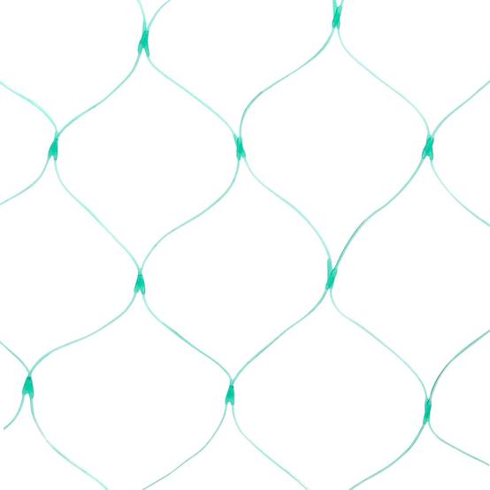 Filet de Protection Anti-oiseaux Polyéthylène pour Jardin et Arbres Fruitiers Vert 2 x 10 m - ComfortXL Outdoor Living - Image 5