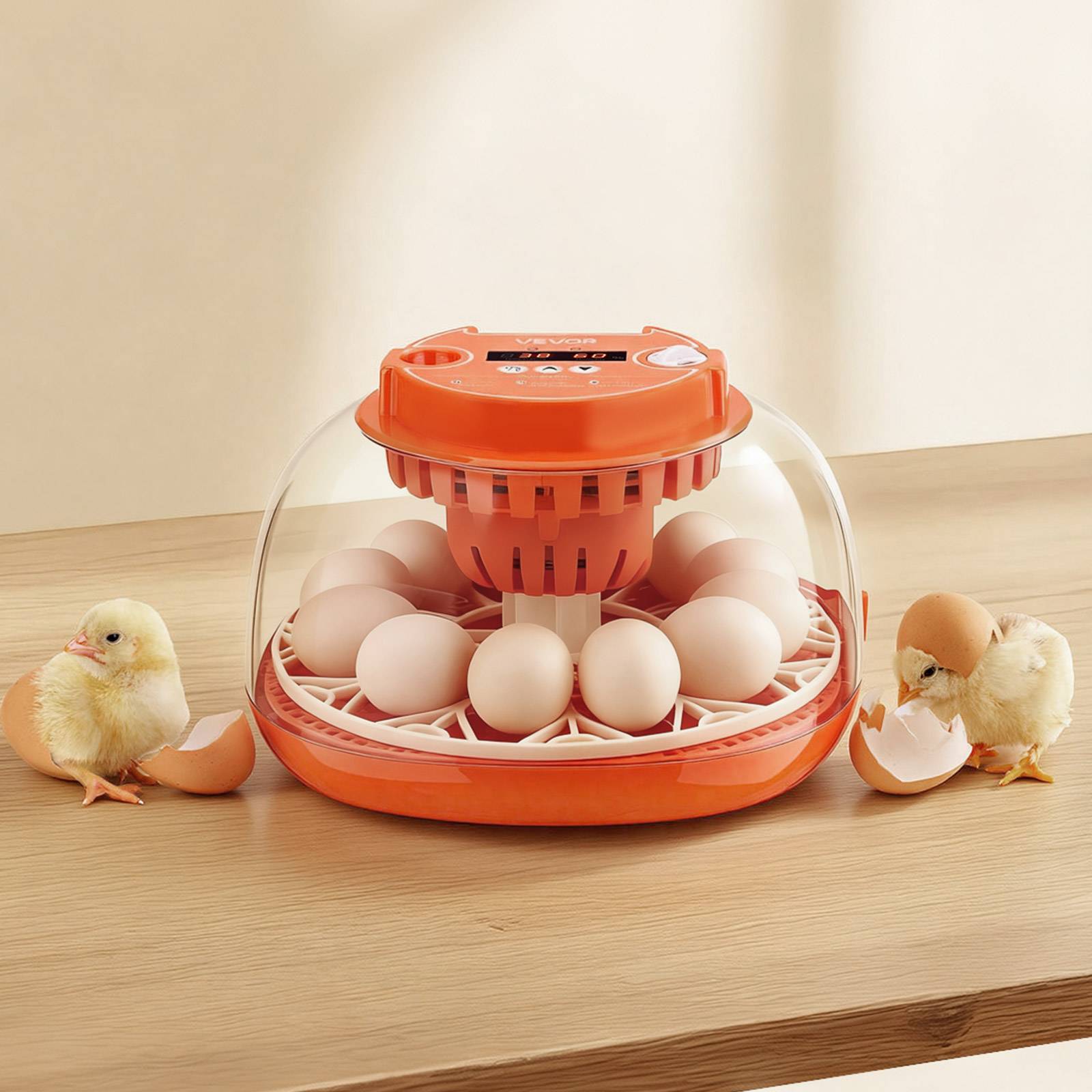 Vevor - VEVOR Couveuse Œuf Automatique Incubateur 12 Œufs pour Éclosion Œufs Poussins - Image 6