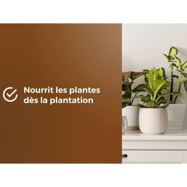 Or Brun - Terreau Rempotage Universel Uab 6 L / Nc - Or Brun - Image 4