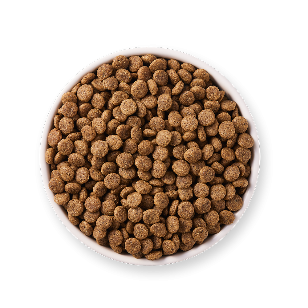 Yarrah - Croquettes Biologiques Sans Blé Poulet & Poisson pour Chat Stérilisé - Image 4