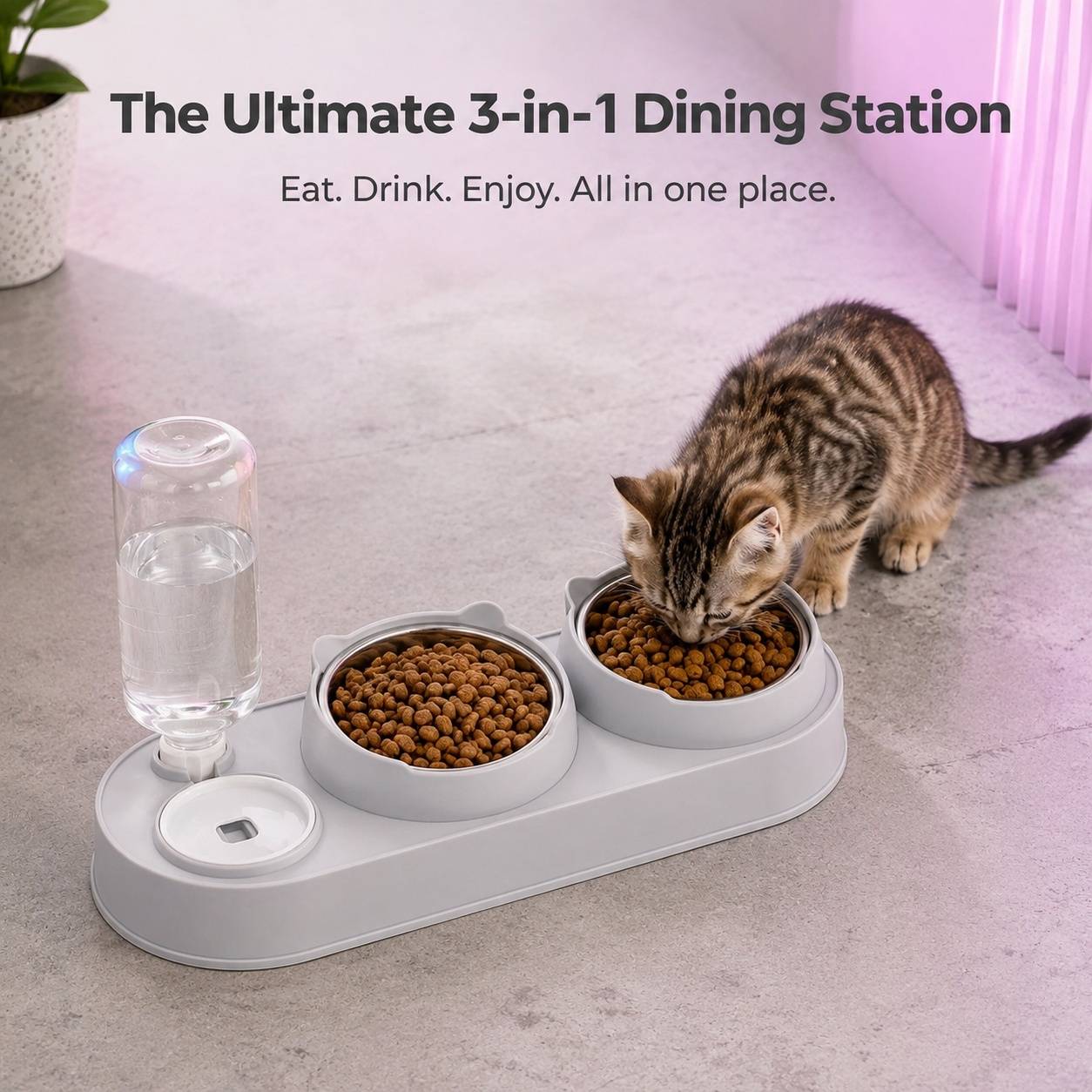 Station Alimentation 3 en 1 Bol Inox Surélevé Distributeur Eau Automatique Pour Animaux Compagnons - Image 5