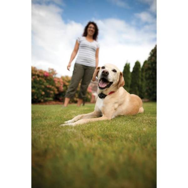 Petsafe - PetSafe - Systeme de Clôture Anti-fugue avec Fil pour Chien de plus 3,6 Kg – Avertissement Sonore/Eléctrostatique,Facile a - Image 2
